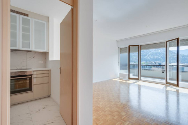 Appartamento  in Affitto a Lugano #7