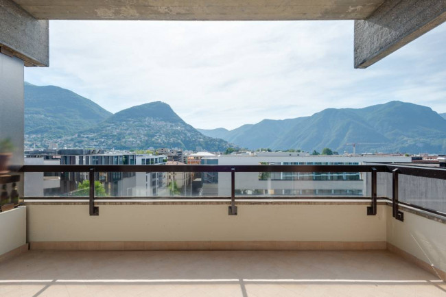 Appartamento  in Affitto a Lugano #8