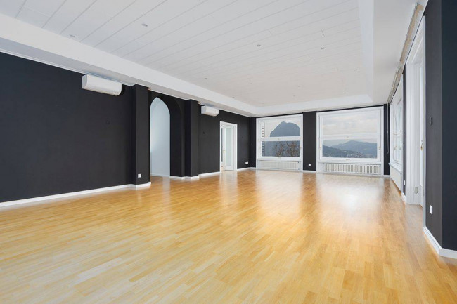 Appartamento  in Affitto a Lugano #2