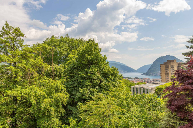 Appartamento  in Vendita a Lugano #12