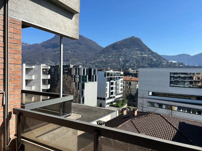 Appartamento  in Affitto a Lugano #2