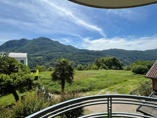 Appartamento  in Affitto a Collina d'Oro #10